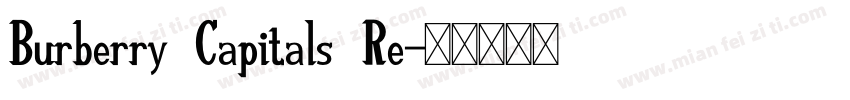 Burberry Capitals Re字体转换